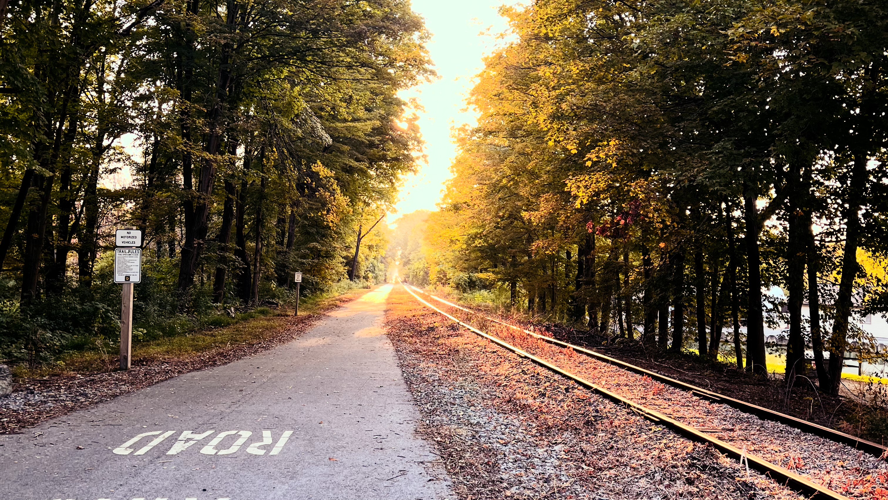 rail.jpg